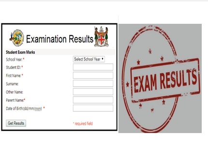 Fiji Year 8 Examination Results 2025