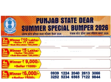 Punjab Dear Summer Special Bumper Lottery Result 13-06-2026