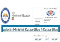 Qabxiin Kutaa 6ffaa fi 8ffaa Bara 2018