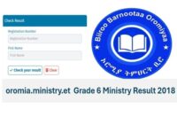 Oromia Grade 6 ministry result 2018/ 2026