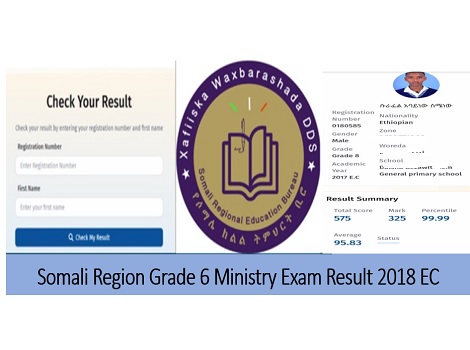 Somali Region Grade 6 ministry result 2018