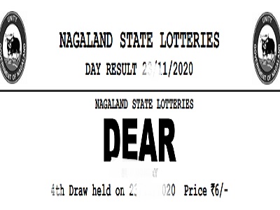 nagaland dear parrot lottery results 8 PM