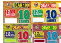 Nagaland Dear 100 Fawn Ivory Lime PLUM Lottery results 2023