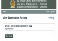 Grade 5 Scholarship Exam Result 2023-2024 Sri Lanka