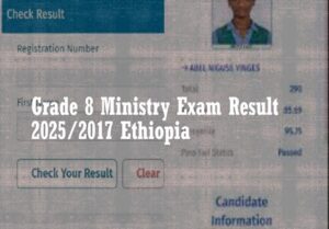 Grade 8 Ministry Exam Result 2025/2017| Ethiopia Grade 8 Exam 2017 ...