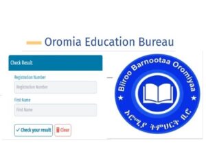 Oromia Education Bureau Grade 8 Result 2017 2025 How To View Oromia 8th oromia-education-bureau-grade-8-result-2017-2025-how-to-view-oromia-8th