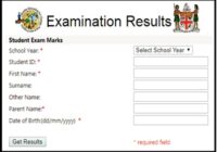 Fiji Year 8 Examination Results 2024