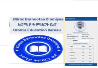 oromia ministry et grade 6 result 2017