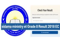 Sidama Education bureau Grade 8 ministry result 2018 E.C