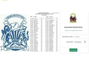 2025 MANEB Malawi MSCE Results Pass List 2025 Pdf Download maneb ...