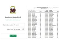 Maneb MSCE Results 2025 Pass List Pdf Download