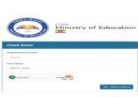 neaea.gov.et Grade 12 Exam result 2018 EC