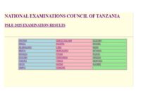 Matokeo Ya Darasa La Saba 2025/2026