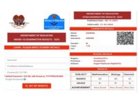 My PNG Exam Results 2025 Grade 8, 10 & 12 National examinations