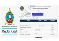 Zimsec Grade 7 Results 2025