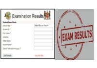 Fiji Year 8 Examination Results 2025
