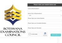 Botswana BGCSE Results 2026