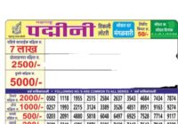 Maharashtra Padmini Lottery Result
