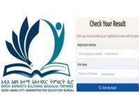 Addis Ababa Grade 6 ministry exam result 2018