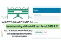 harari ministry et grade 8 result 2018