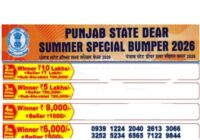 Punjab Dear Summer Special Bumper Lottery Result 13-06-2026