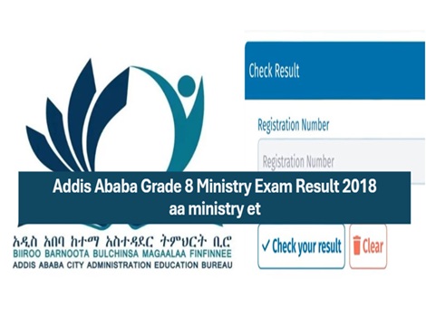 Addis ababa Grade 8 ministry exam result 2018