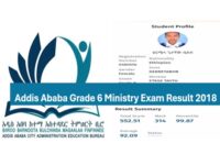 Addis Ababa Grade 6 Ministry Exam Results 2018