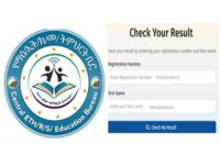 Central Ethiopia Grade 8 Ministry Exam Result 2018/ 2026