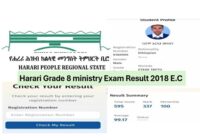Harari Grade 8 ministry exam result 2018