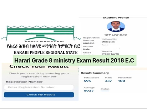 Harari Grade 8 ministry exam result 2018