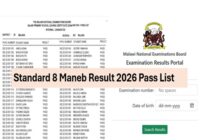 Standard 8 Maneb Result 2026
