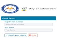 Ministry of education grade 8 & Grade 6 result 2018/ 2026