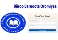 Oromia ministry et Grade 8 result 2018 Term 2