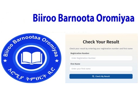 Oromia ministry et Grade 8 result 2018 Term 2