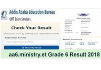 Addis Ababa Grade 6 Ministry result 2018