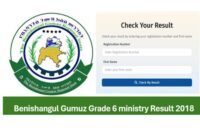 Benishangul Gumuz Grade 6 Result 2018/ 2026