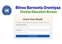 biiroo barnoota oromia ministry et Grade 8 Results 2018