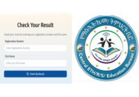 Central Ethiopia Grade 6 ministry Result 2018
