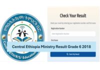 Central Ethiopia Grade 6 ministry exam result 2018/ 2026
