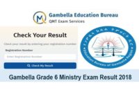 Gambella grade 6 ministry exam result 2018