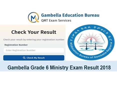 Gambella grade 6 ministry exam result 2018