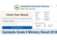 Gambella grade 8 ministry result 2018