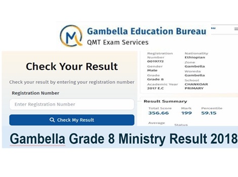 Gambella grade 8 ministry result 2018