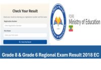 Ethiopia የ8ኛ & የ6ኛ ክልላዊ ክፍል ፈተና Results 2018 EC/ 2026