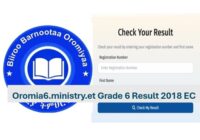 oromia ministry et grade 6 result 2018 EC