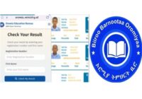 oromia ministry et grade 8 Ministry result 2018/ 2026