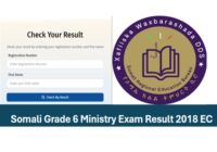 Somali Education Bureau Grade 6 Result 2018 EC/ 2026