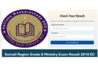 Somali Education bureau Grade 8 Results 2018