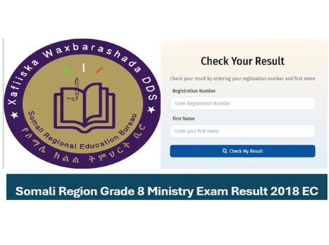 Somali Education bureau Grade 8 Results 2018