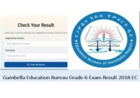 gambella grade 6 Ministry exam result 2018 EC